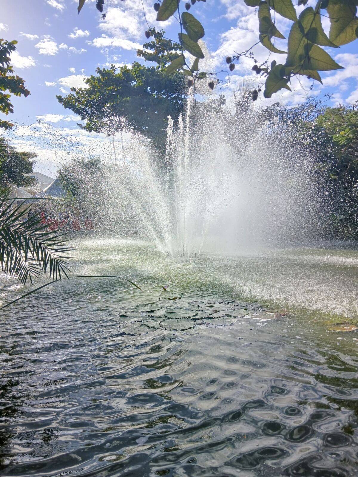 Water fountain in the Fumba Town garden pond under a blue Zanzibar sky